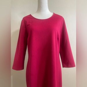 COPY - Daisy Fuentes Babrbiecore 3/4 Sleeve Fuchsia Dress L